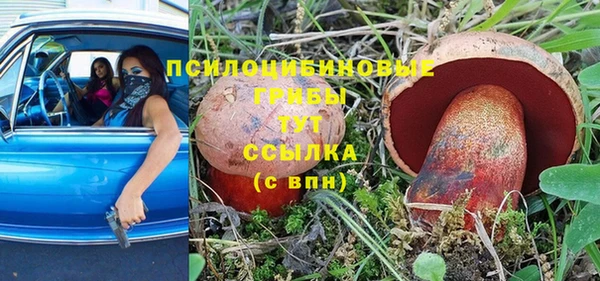 прущий лед Алзамай