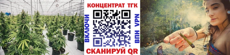 MEGA tor Сыктывкар ТГК вейп